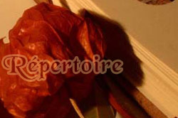 Nos chansons